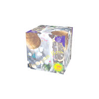 Новогодняя ночь Салют купить в Туле | tula.salutsklad.ru