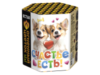 Счастье есть! Салют купить #REGION_NAME_DECLINE_PP# | #REGION_TAG_VSTAVKA_TAYT#