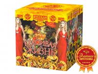 Красивая жизнь Фейерверк купить в Туле | tula.salutsklad.ru