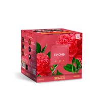 Пионы Салют купить в Туле | tula.salutsklad.ru