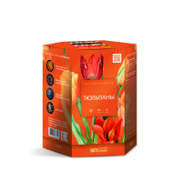 Тюльпаны Салют купить в Туле | tula.salutsklad.ru