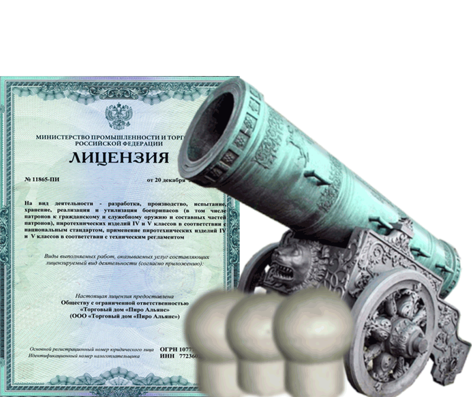 Заказать фейерверк на Новый Год - салют в Туле