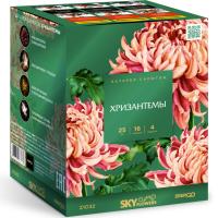 Хризантемы Фейерверк купить в Туле | tula.salutsklad.ru