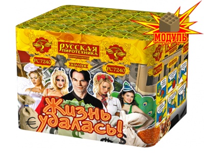 Жизнь удалась Фейерверк купить в Туле | tula.salutsklad.ru