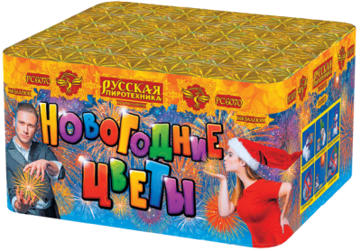 Новогодние цветы Фейерверк купить в Туле | tula.salutsklad.ru