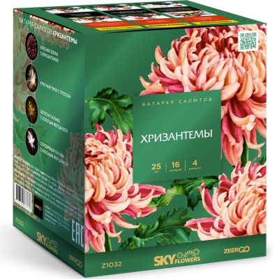 Хризантемы Фейерверк купить в Туле | tula.salutsklad.ru