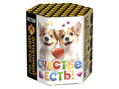 Счастье есть! Салют купить в Туле | tula.salutsklad.ru